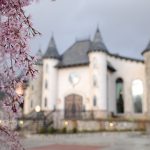 Blog-Wadley-Farms-Castle-Wedding-Spring-Photography-3-150x150