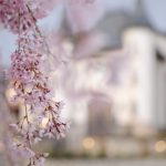 Blog-Wadley-Farms-Castle-Wedding-Spring-Photography-64-150x150