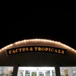Blog-Draper-lds-Temple-Wedding-Reception-Cactus-Tropical-33-150x150