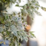 Blog-Sunflower-Backyard-Wedding-utah-57-150x150