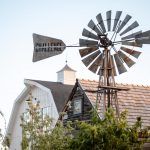 Blog-Walker-Farms-Wedding-Reception-Lindon-Utah-49-150x150