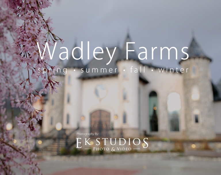 Blog-Wadley-Farms-weddings-spring-summer-fall-winter-EK-Studios-Photo-Video-1(pp_w768_h608)
