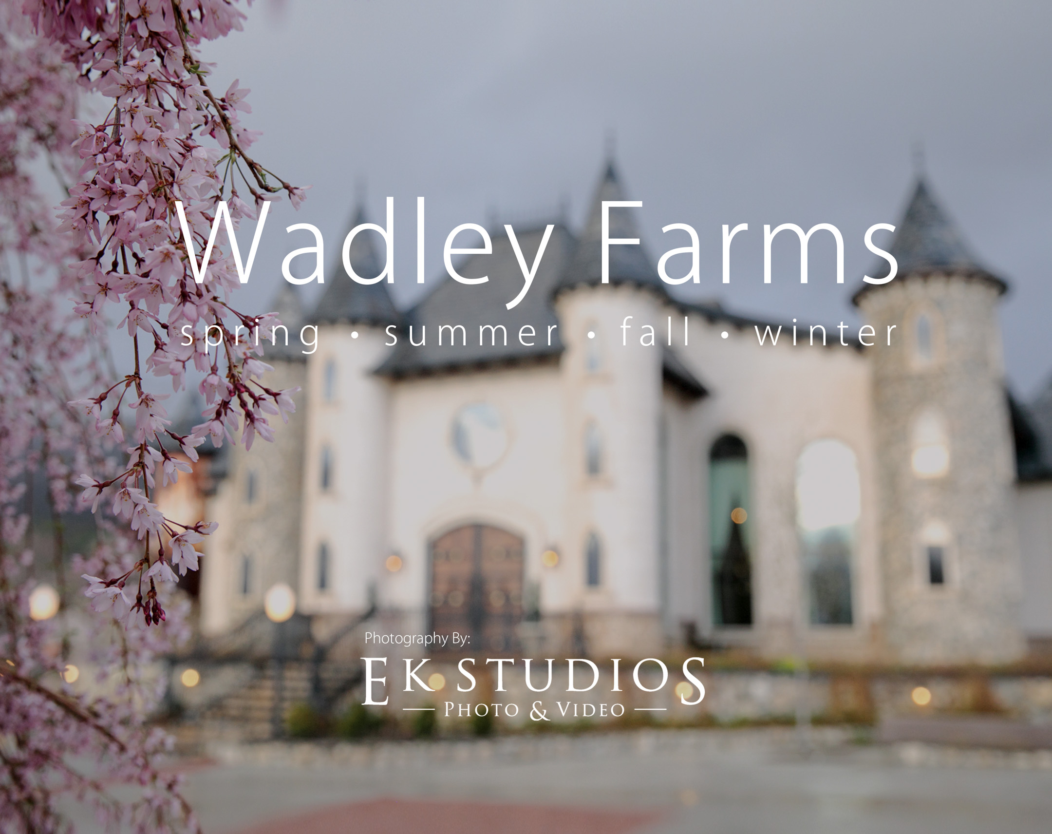 Blog-Wadley-Farms-weddings-spring-summer-fall-winter-EK-Studios-Photo-Video-1