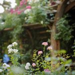 Blog-The-Loggia-Gardens-Wedding-at-Thanksgiving-Point-pictures-photoshoot-utah-54-150x150
