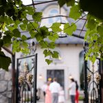 Blog-Payson-Temple-Wedding-Reception-The-Castle-Wadley-Farms-summer-wedding-68-150x150