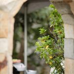 Blog-Hidden-Falls-Wedding-Photos-Grape-Vinyard-Ring-Ceremony-41-150x150