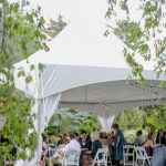 Blog-Hidden-Falls-Wedding-Photos-Grape-Vinyard-Ring-Ceremony-47-150x150